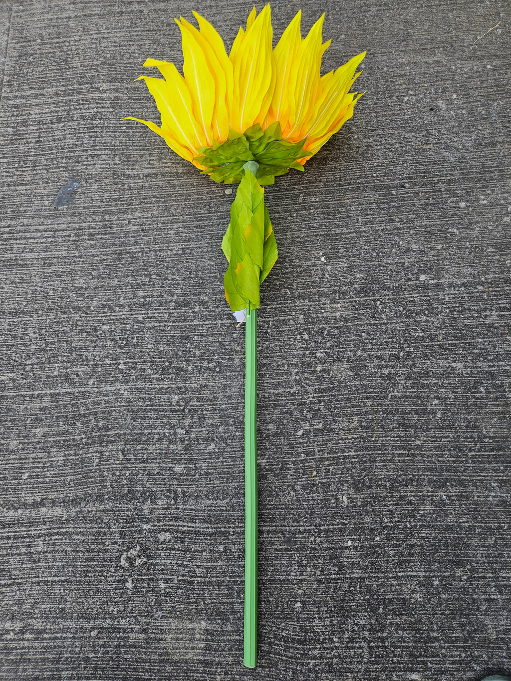 Giant XL Sunflower
