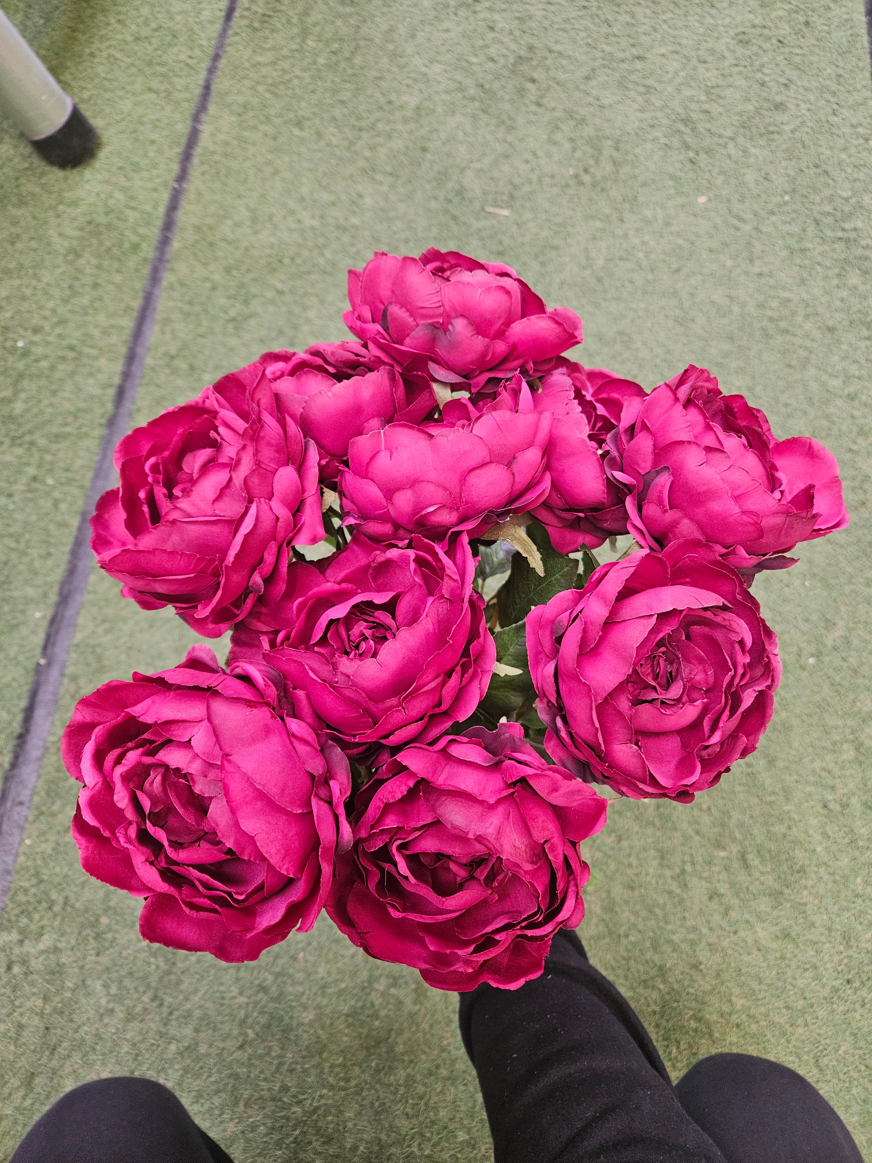 10x Burgundy Peonies