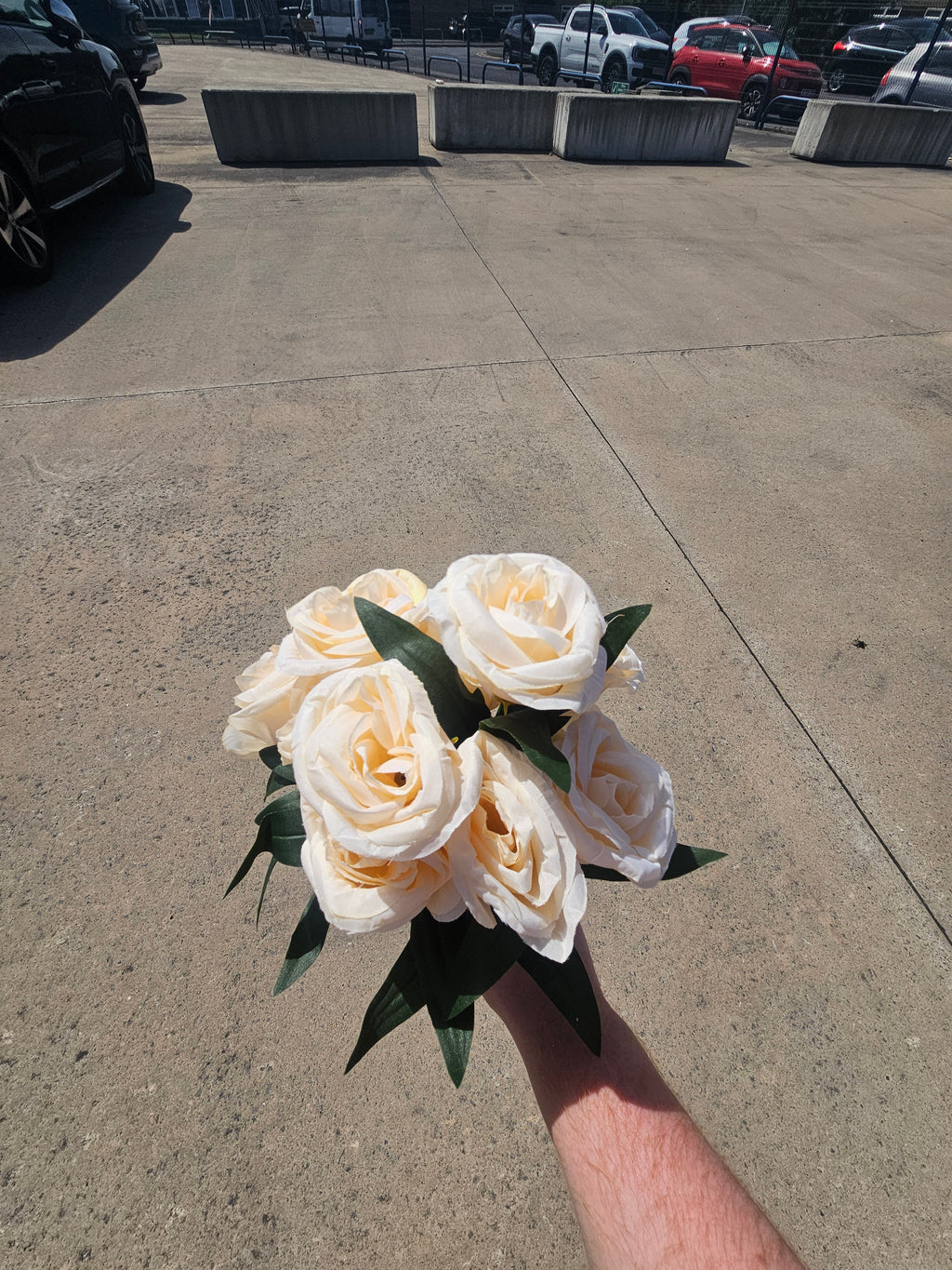 5x Cream/Peach Cabbage Rose Bouquets
