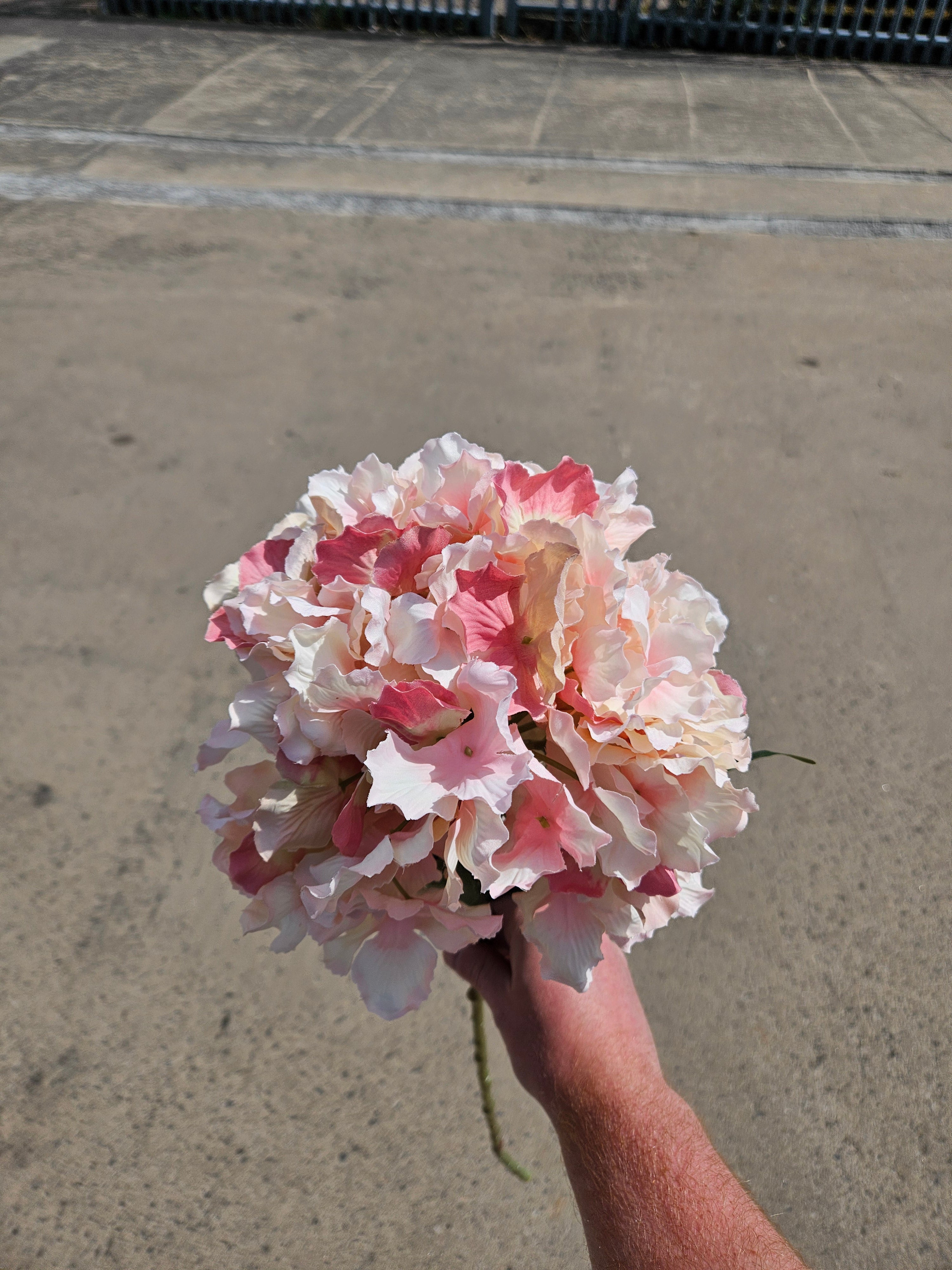 Long Stem Baby Pink Hydrangea