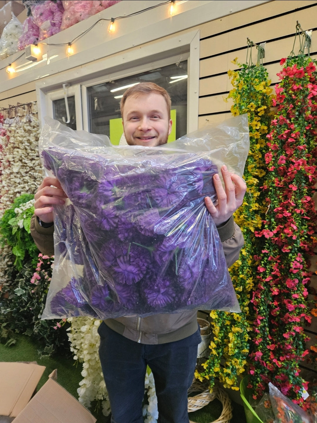 Bag of 144 Deep Purple Carnation Picks