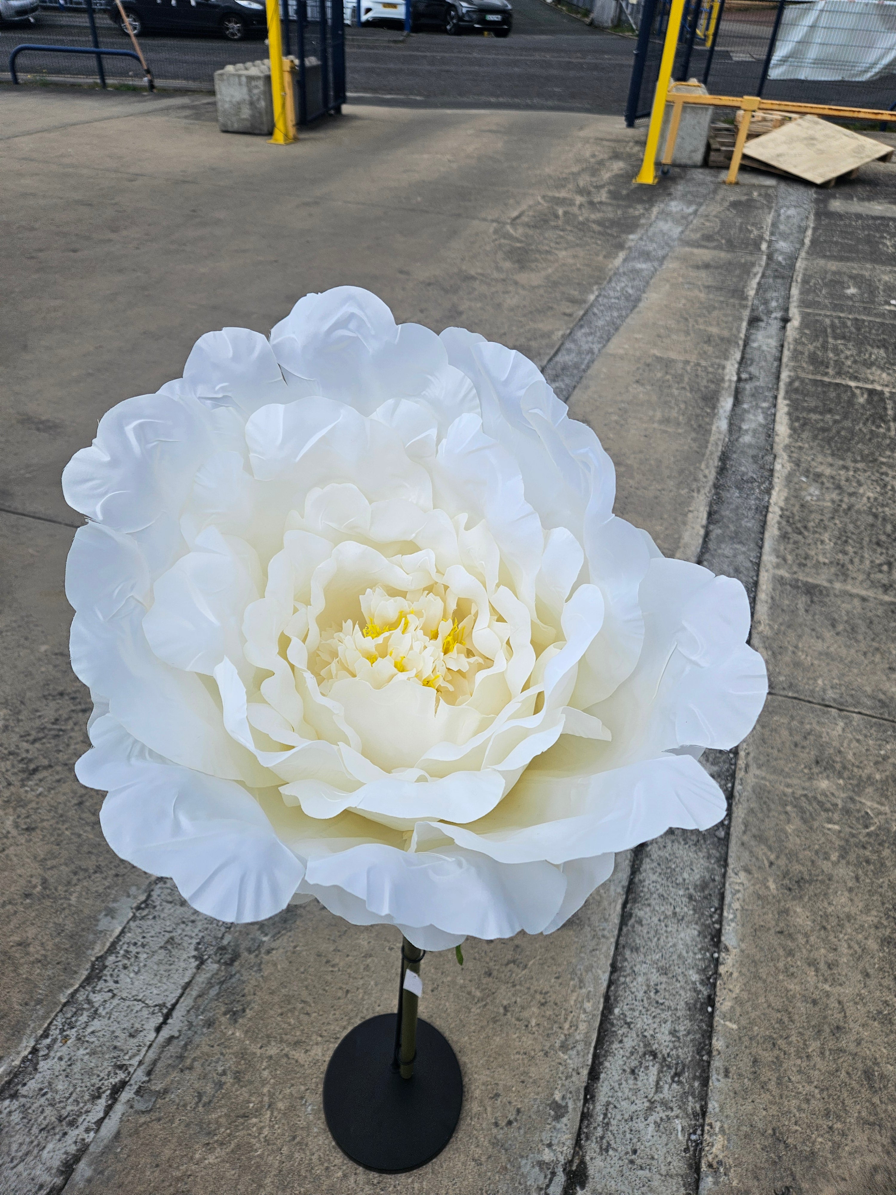 Giant XL Ivory Peony (Stand Not Included)