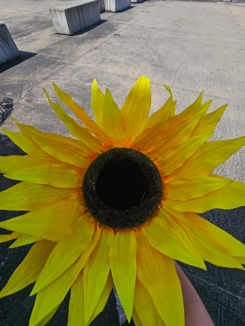 Giant XL Sunflower
