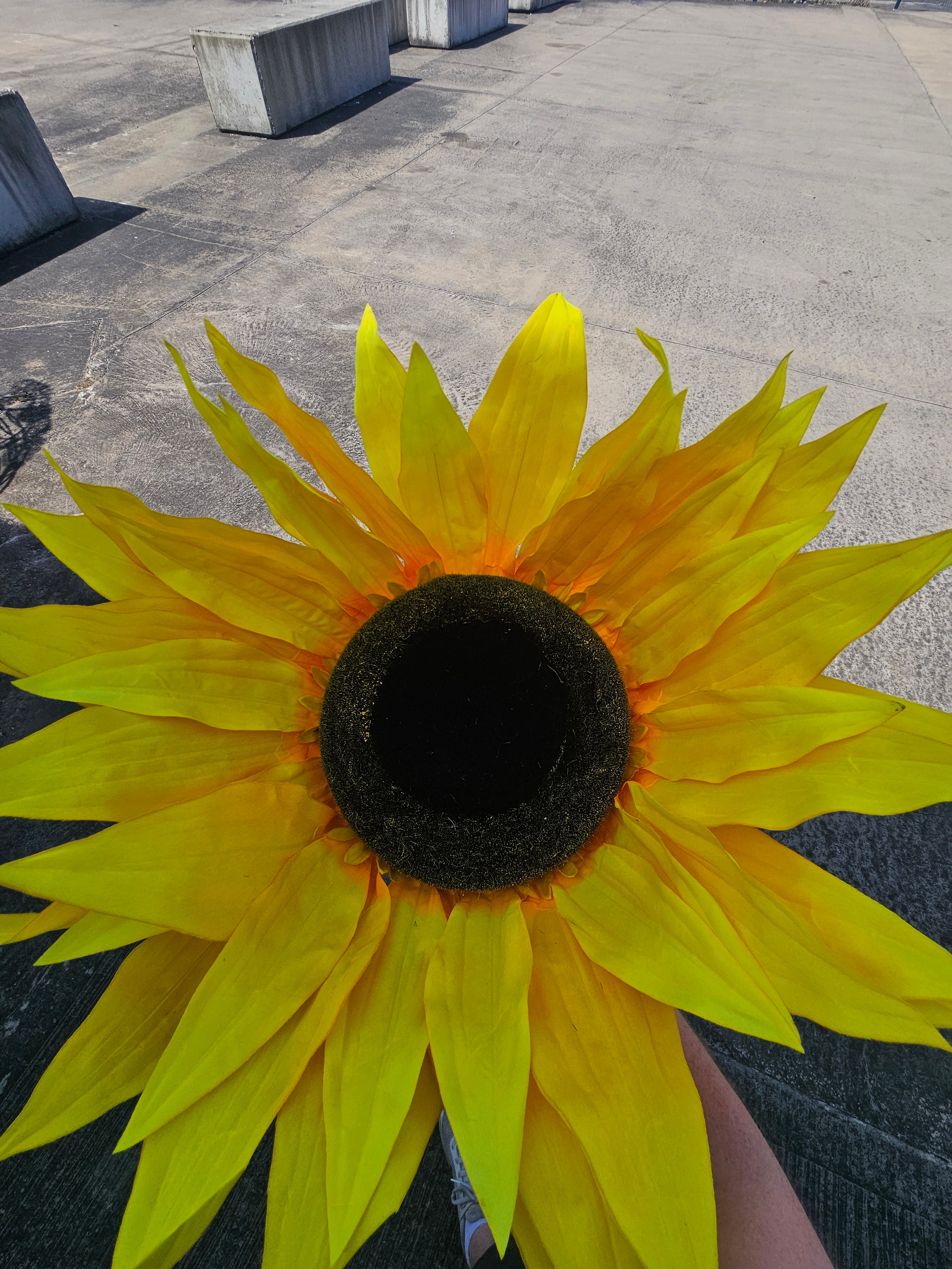 Giant XL Sunflower