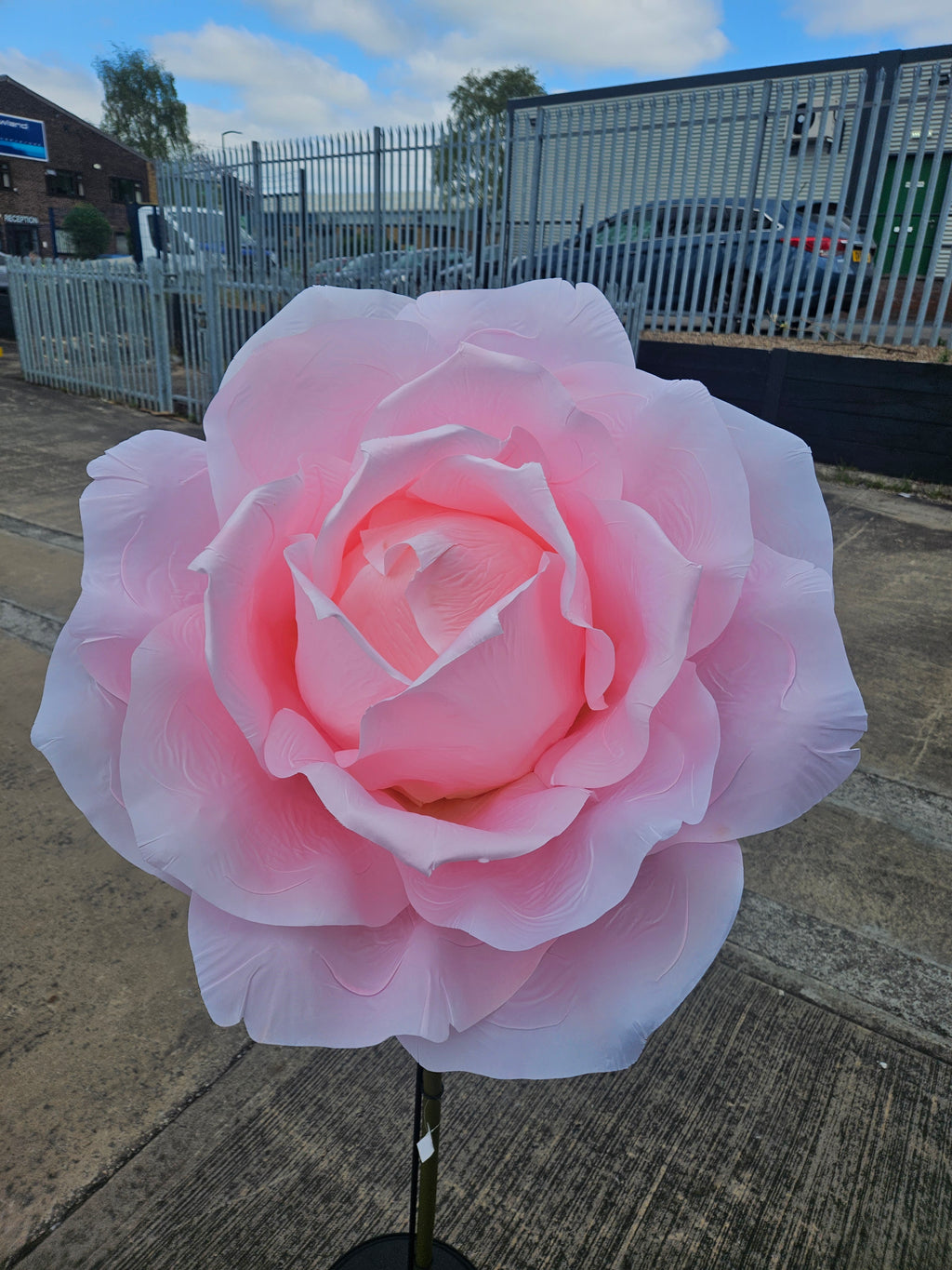 Giant XXL Pink Rose (Stand Not Included)