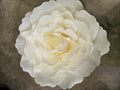 Giant Ivory Rose Head