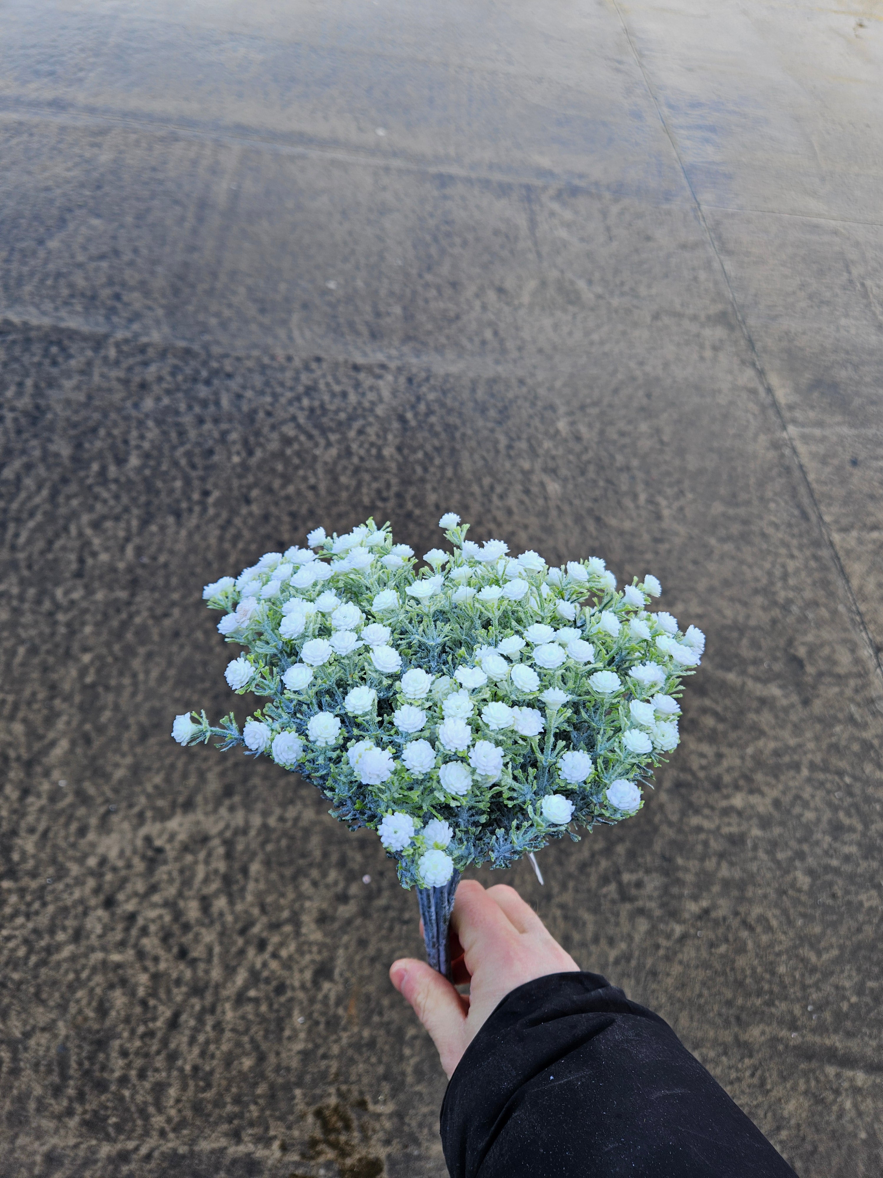 Gypsophilia Bunch (10 Stems)