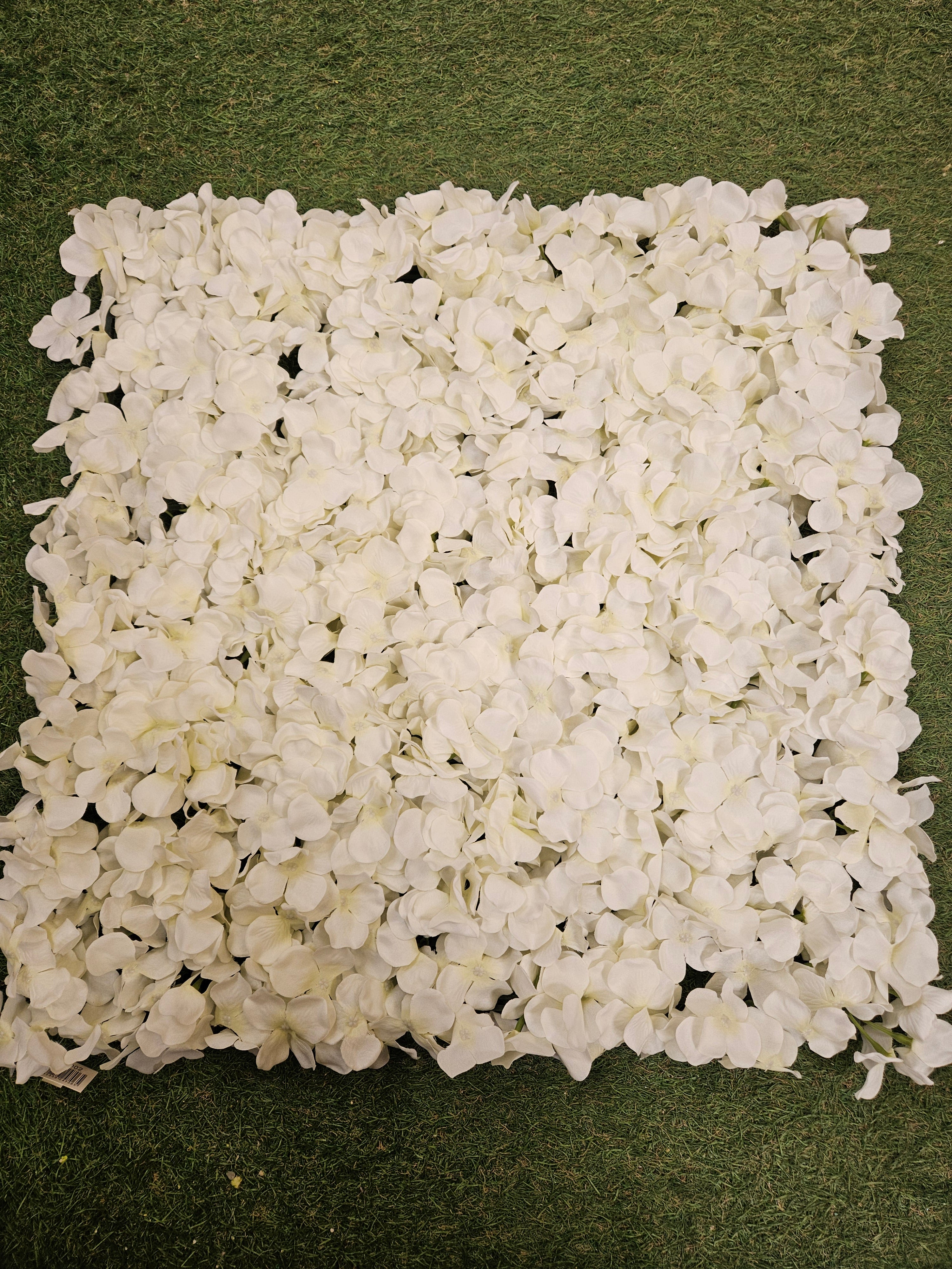 Ivory Hydrangea Wall Panel (53cm x 53cm)