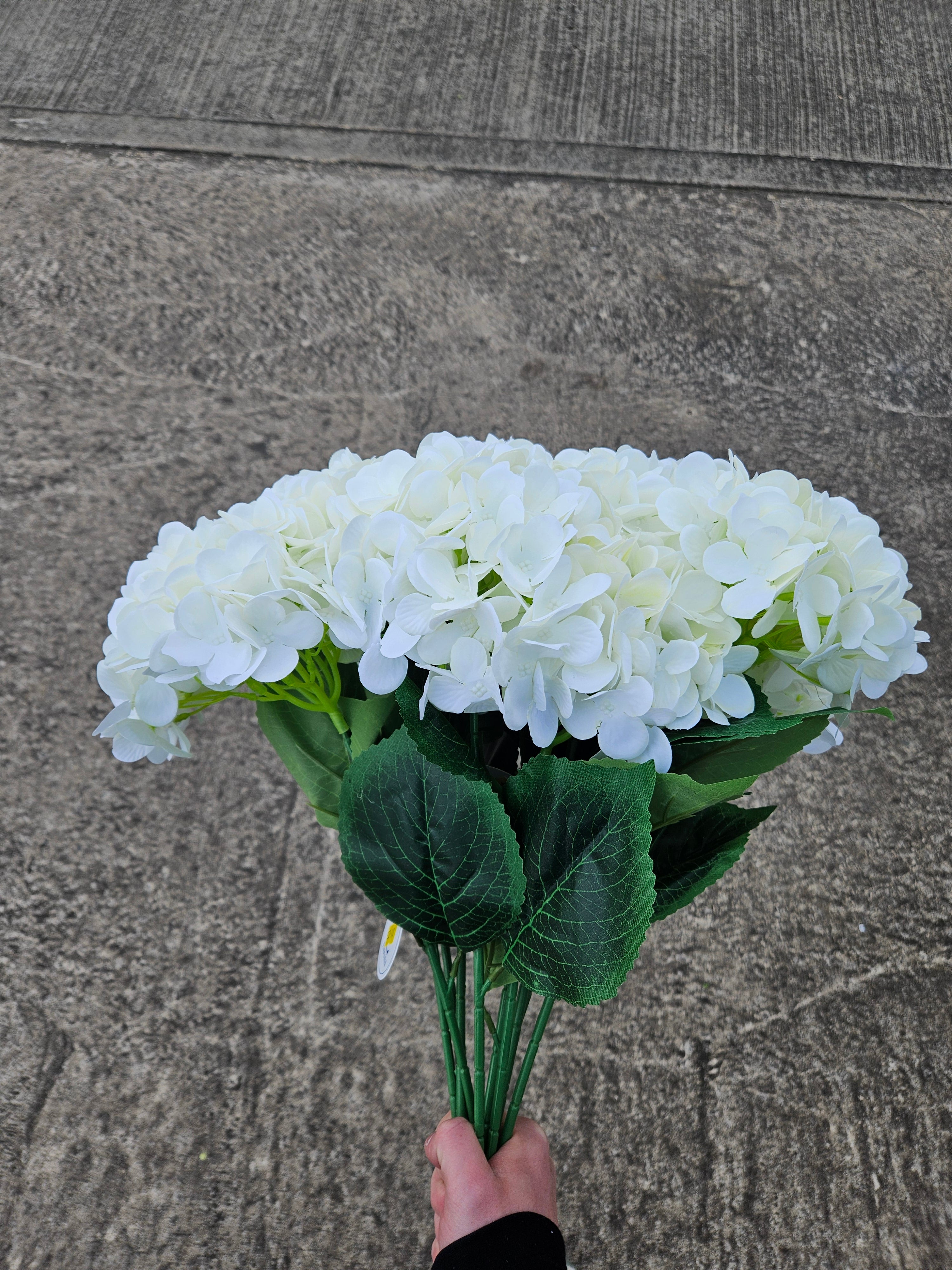 10x Ivory Hydrangea Stems