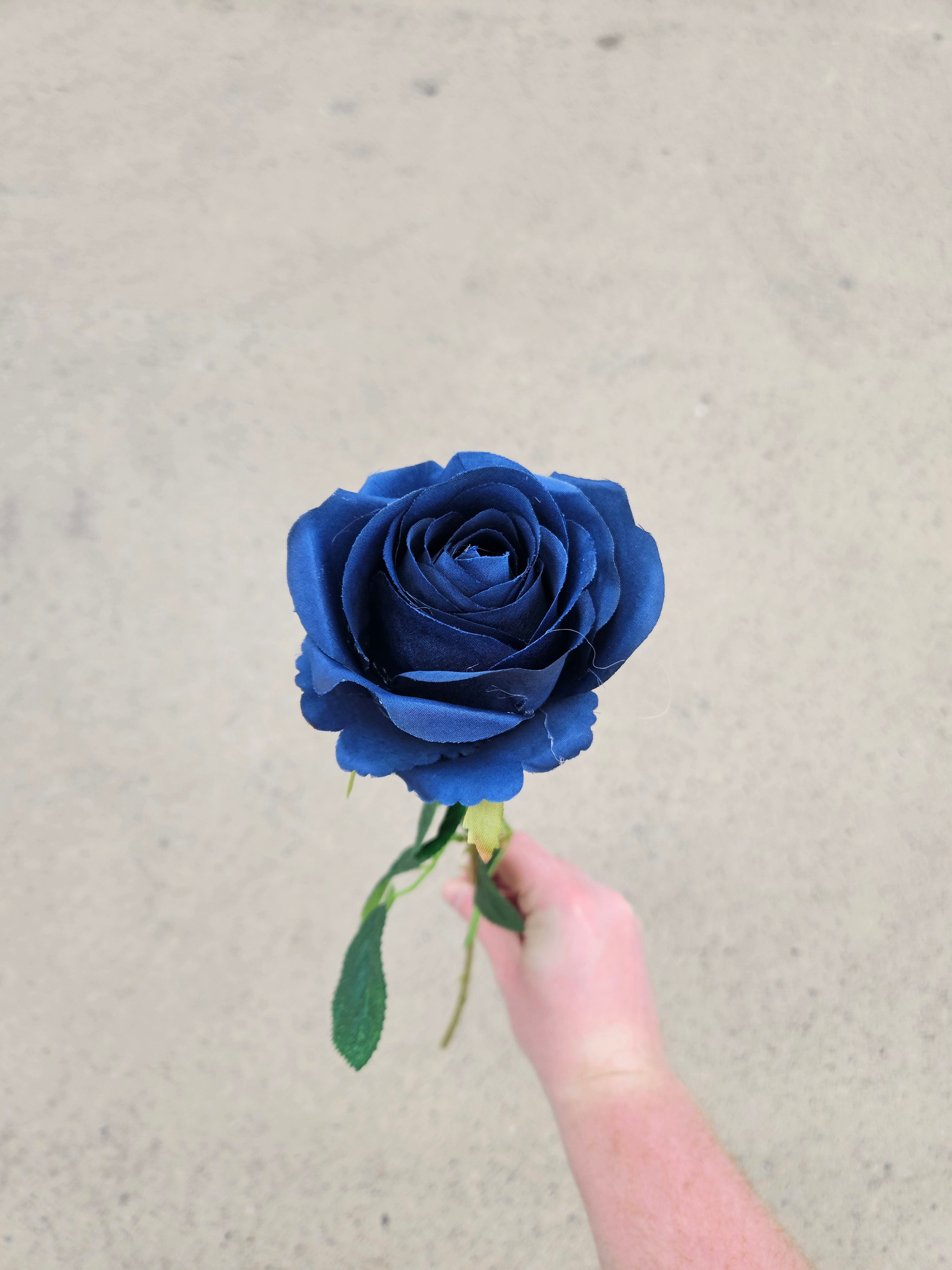 48 Navy Harper Roses