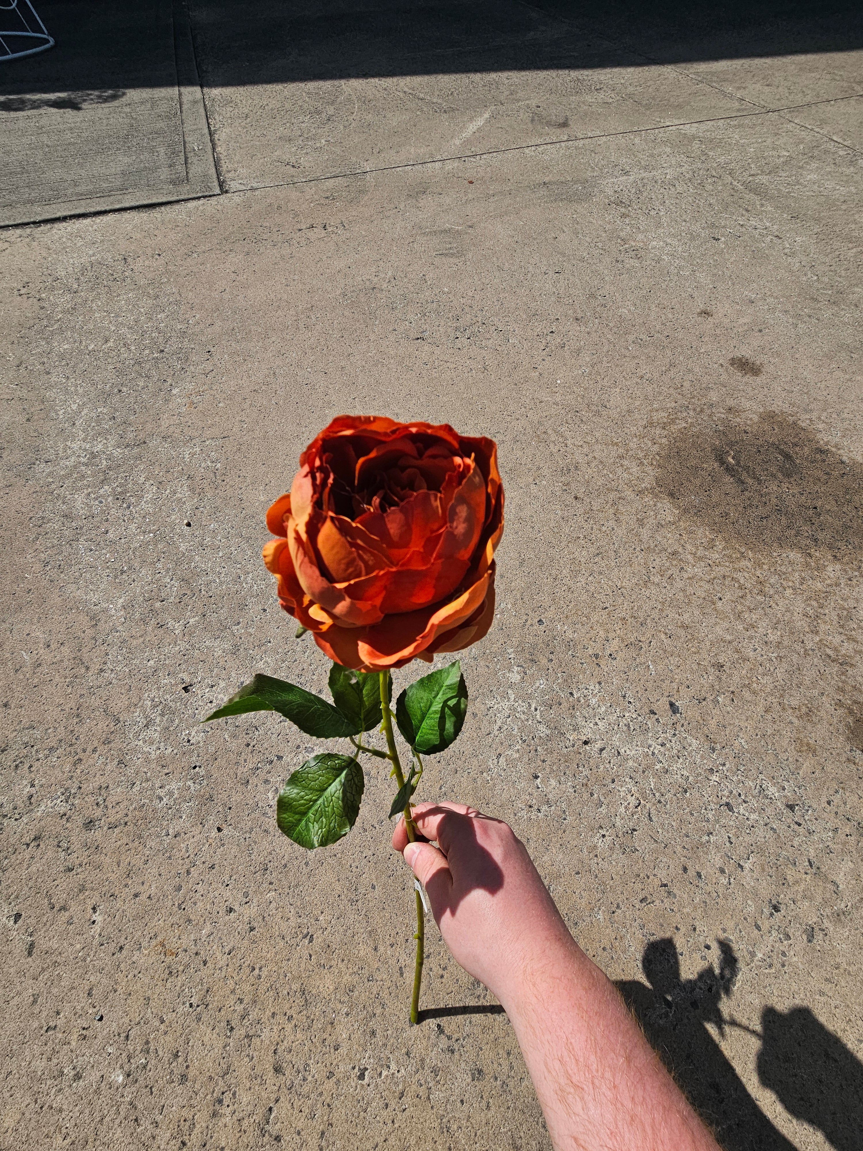 10x Burnt Orange Peonies