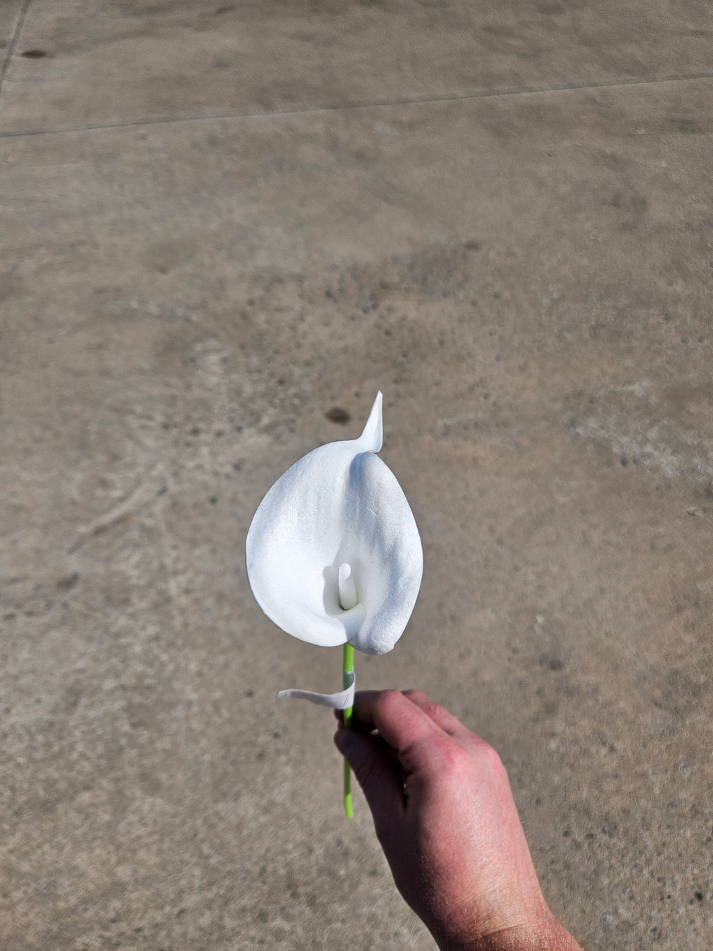 Foam Calla Lily Bunch (5 Stems)