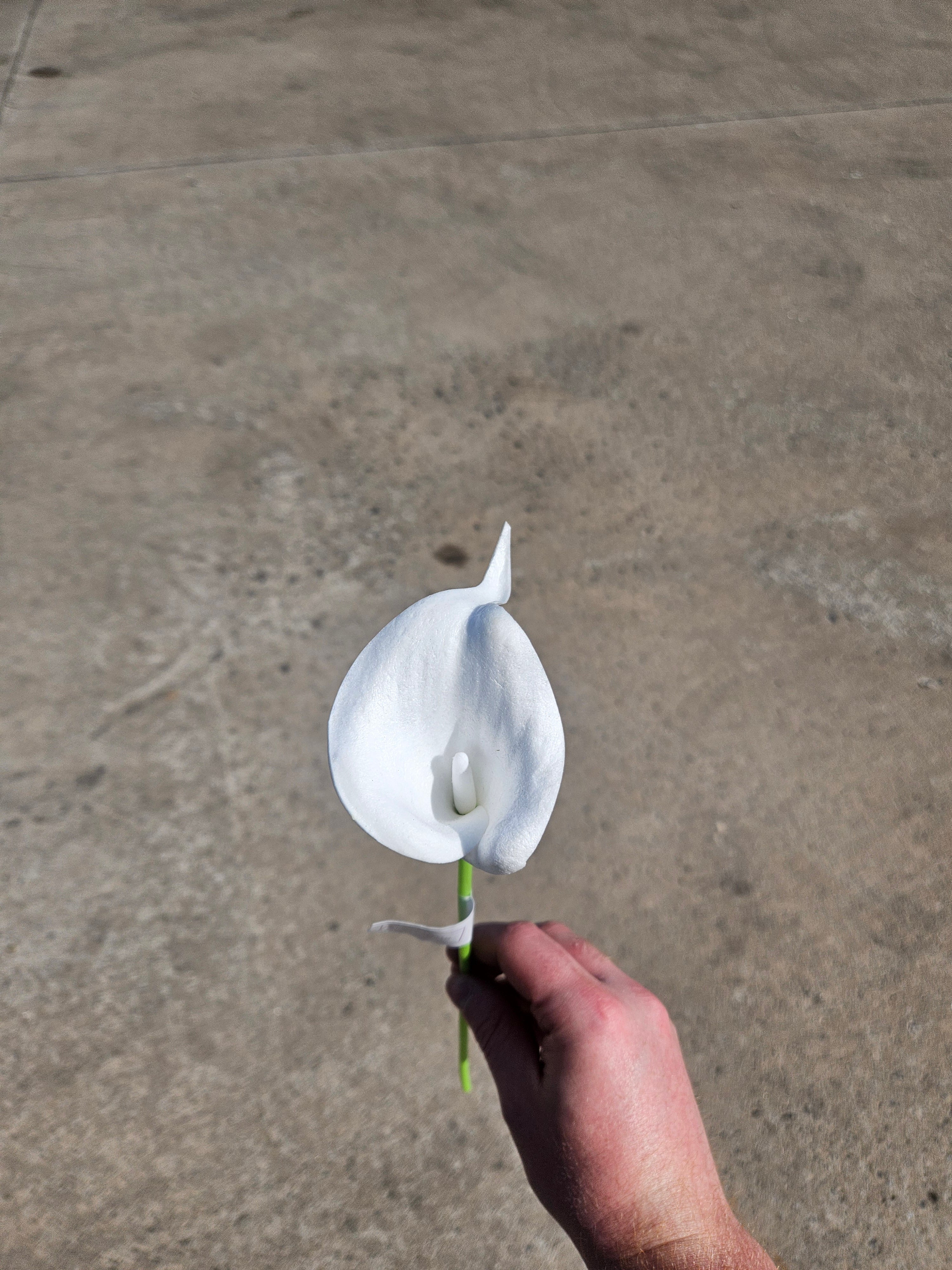 Foam Calla Lily Bunch (5 Stems)