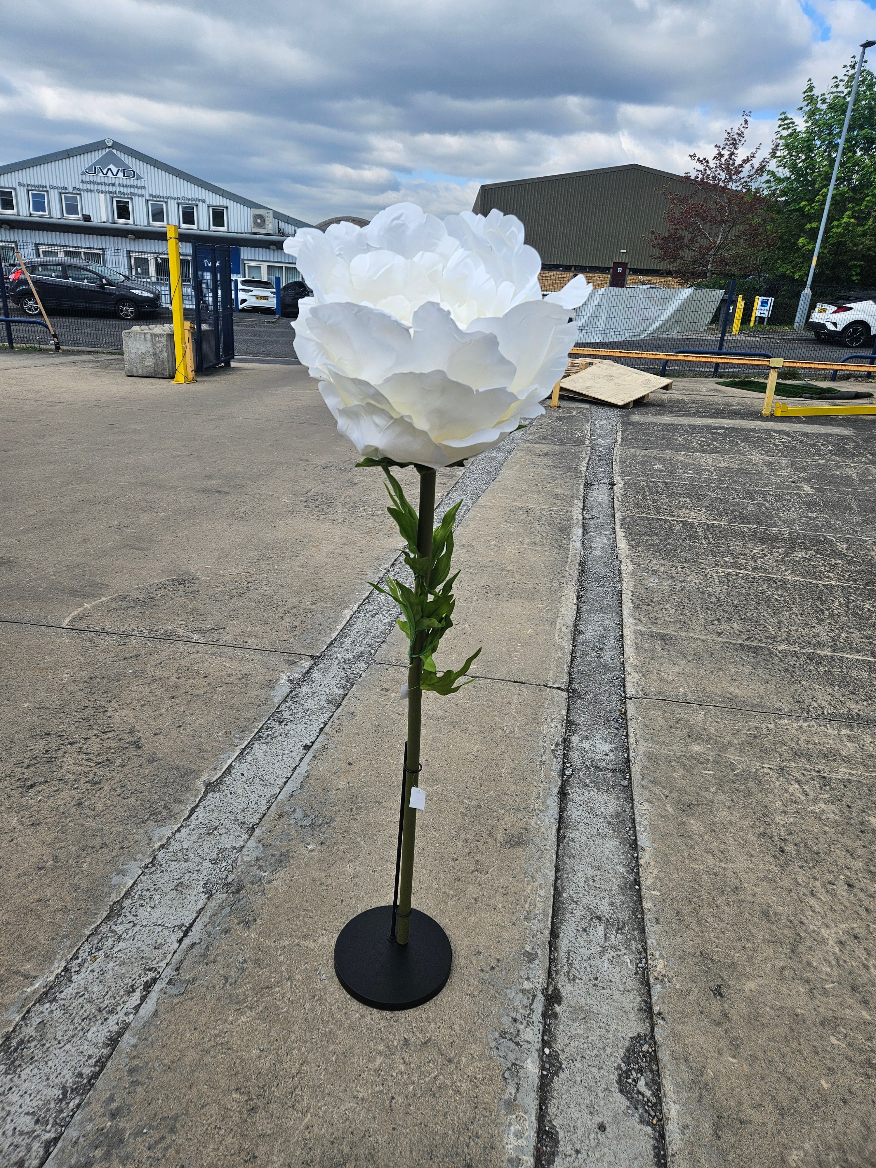 Giant XL Ivory Peony (Stand Not Included)