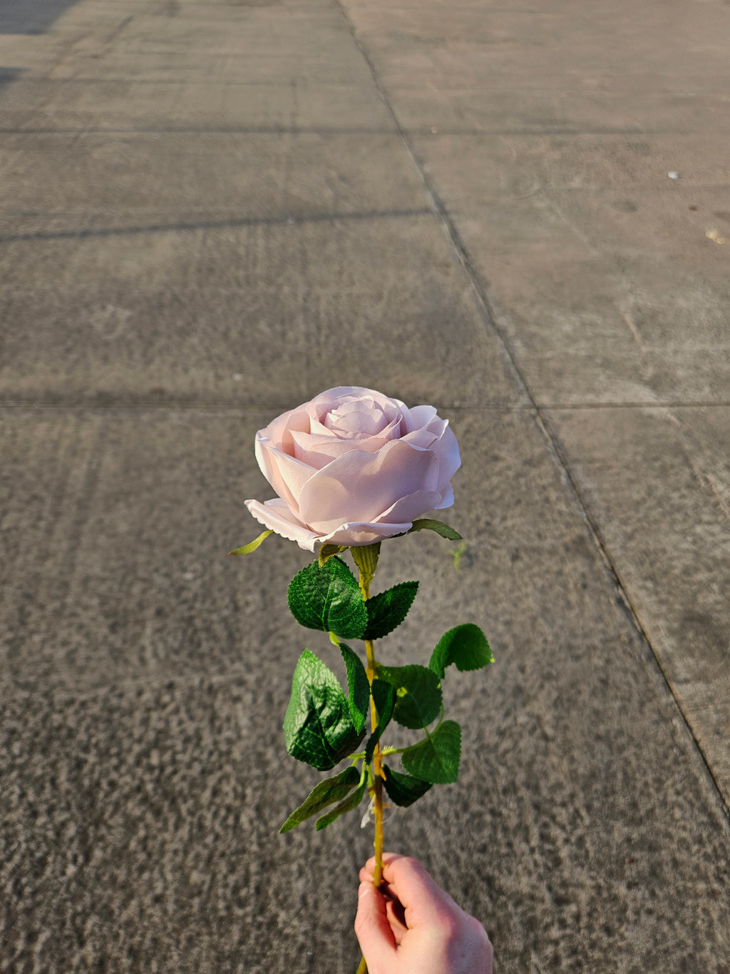 Mink Harper Rose