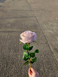 Mink Harper Rose